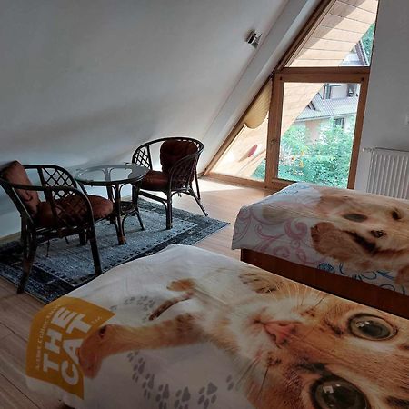 Apartamenty Cede Zakopane Exteriör bild