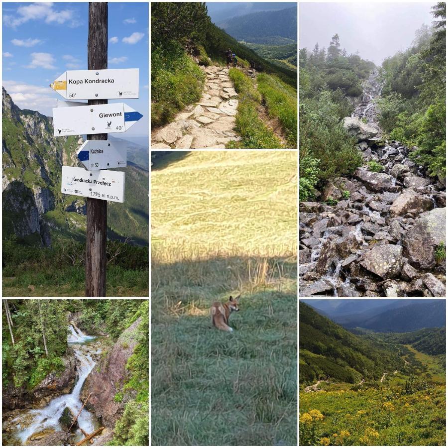 Apartamenty Cede Zakopane Exteriör bild