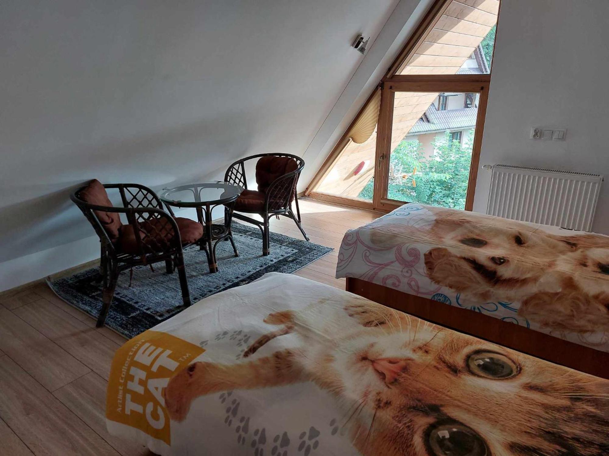 Apartamenty Cede Zakopane Exteriör bild