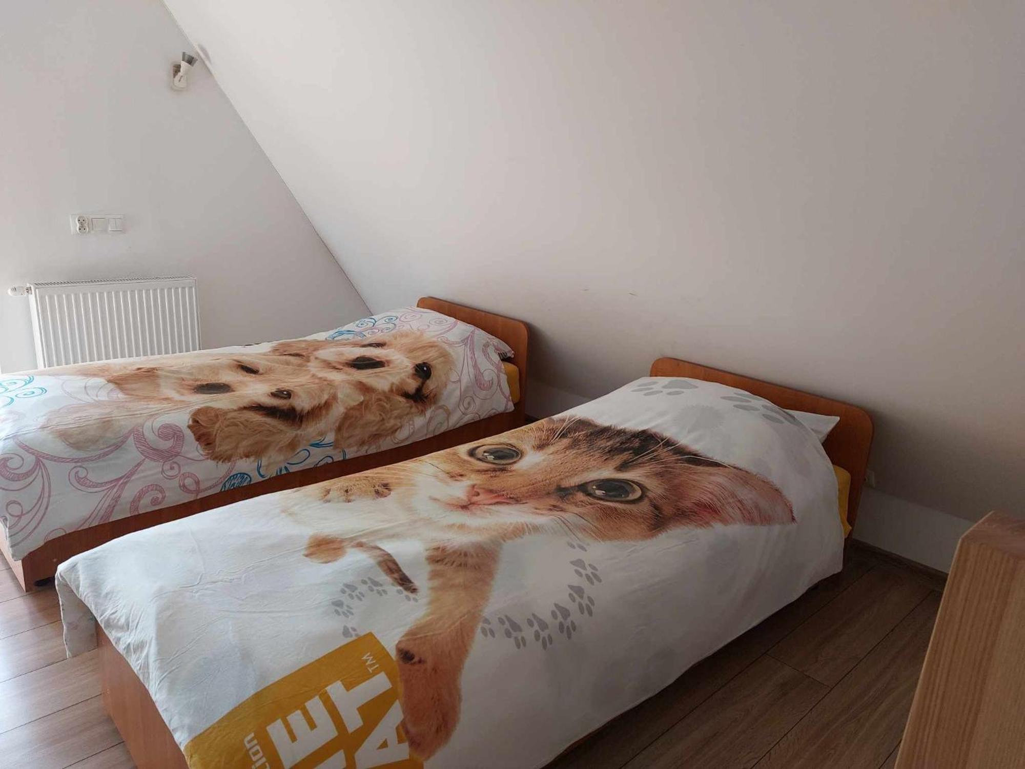 Apartamenty Cede Zakopane Exteriör bild